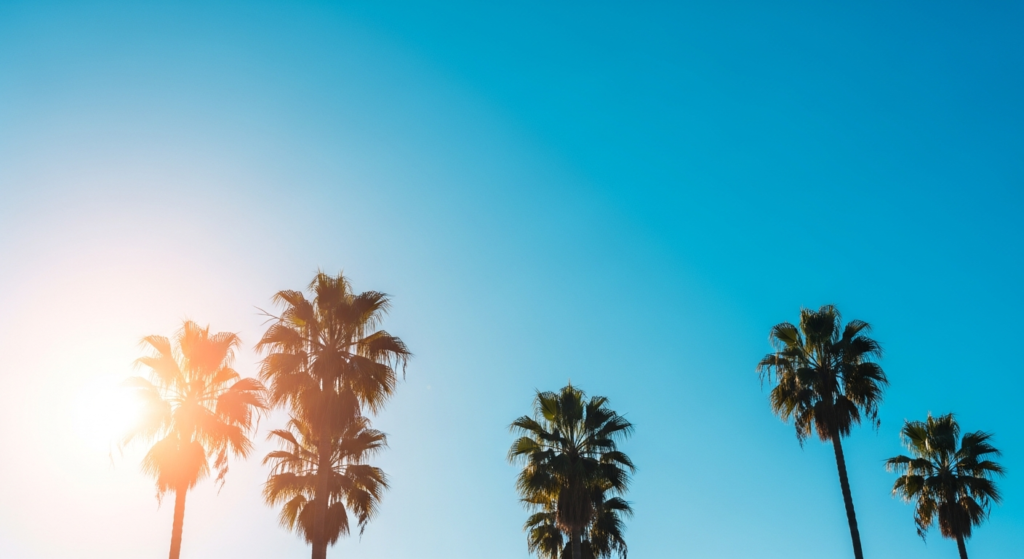 ロサンゼルスは雨が降らない？気候と服装を徹底解説